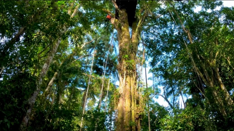 Reserva Natural Moru - Colombia