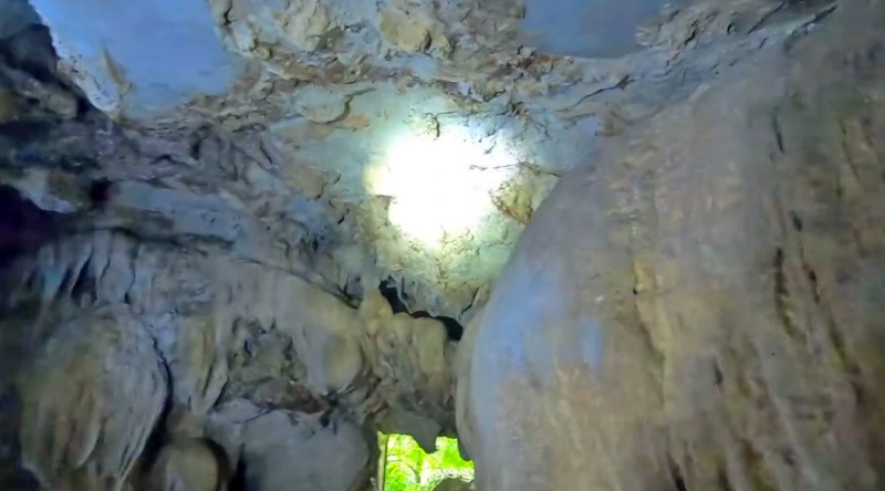 Cueva de los Guácharos - Rio Claro Antioquia - Colombia