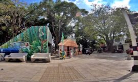 Vídeo Turístico de la Tebaida, Turismo en el Departamento del Quindío - Colombia