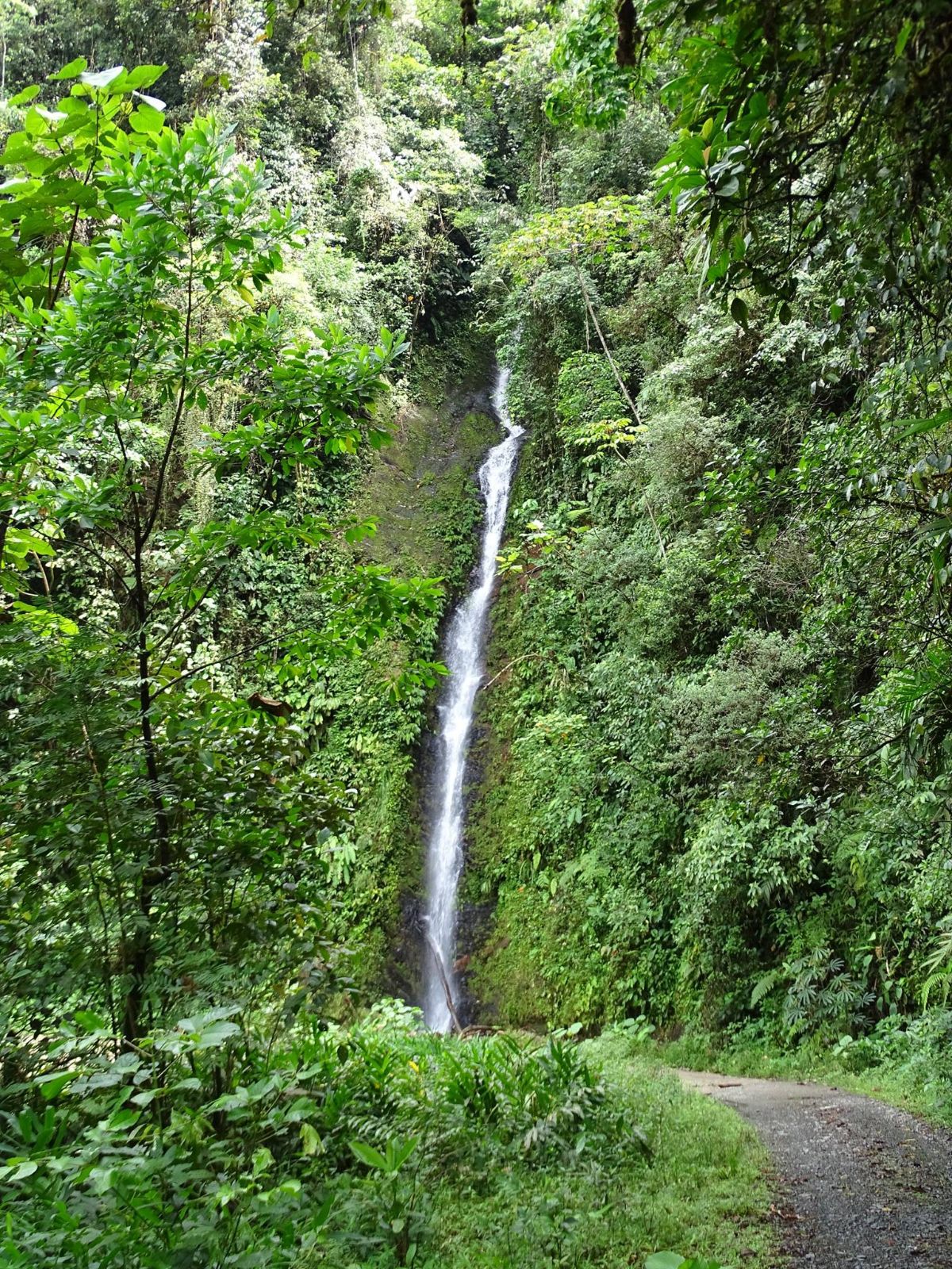 Aguaclara, Buenaventura - Valle Del Cauca, Colombia