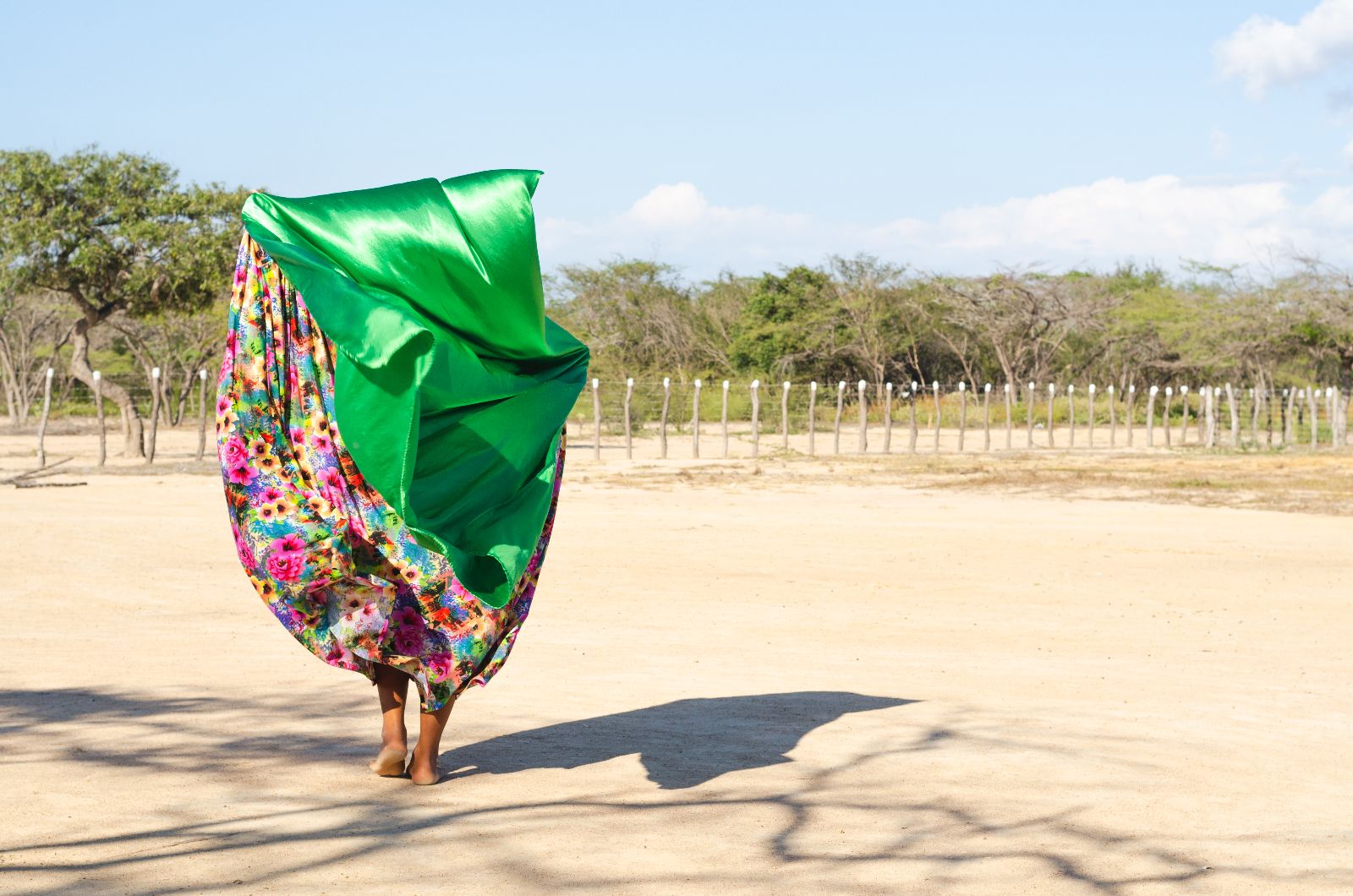 Música y folclor de La Guajira, Colombia