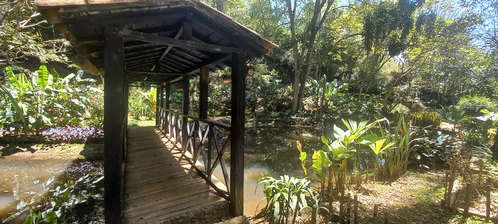 Jardin Botanico los Balsos Jericó - Antioquia - Colombia
