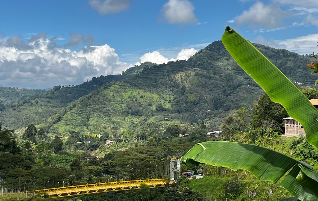 Puente Pizamo - Jardin Antioquia - Colombia
