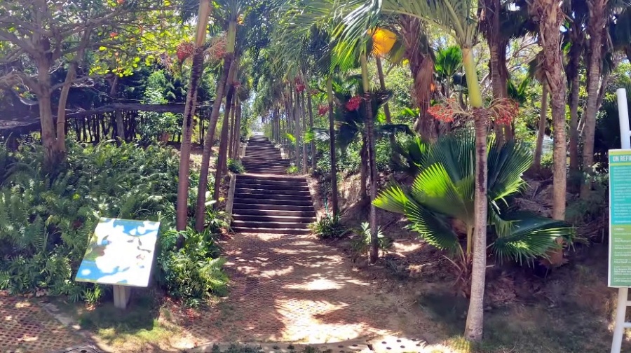 Jardín Botánico de San Andrés, Colombia