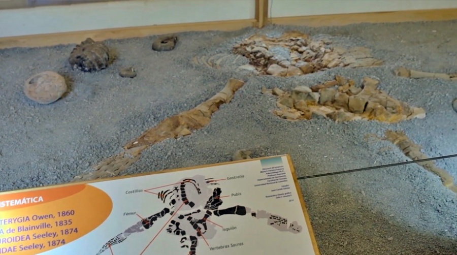 Museo Paleontológico de Villa de Leyva - Boyaca Colombia