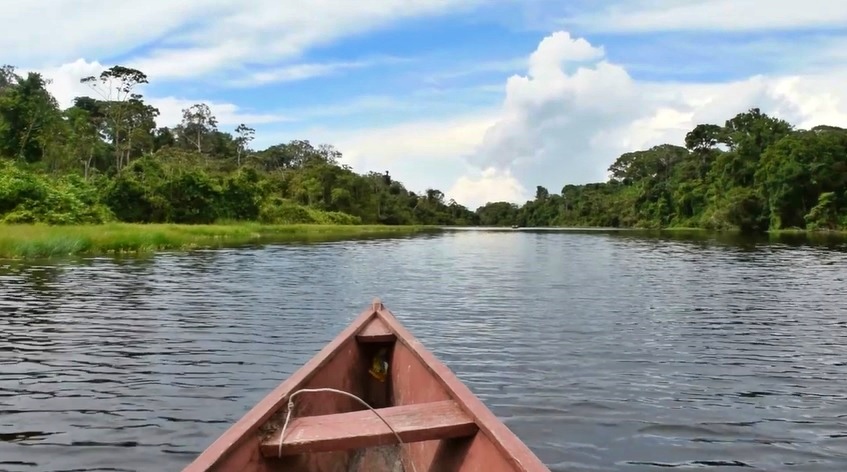 Reserva Natural Marasha (Puerto Alegría) - Amazonas
