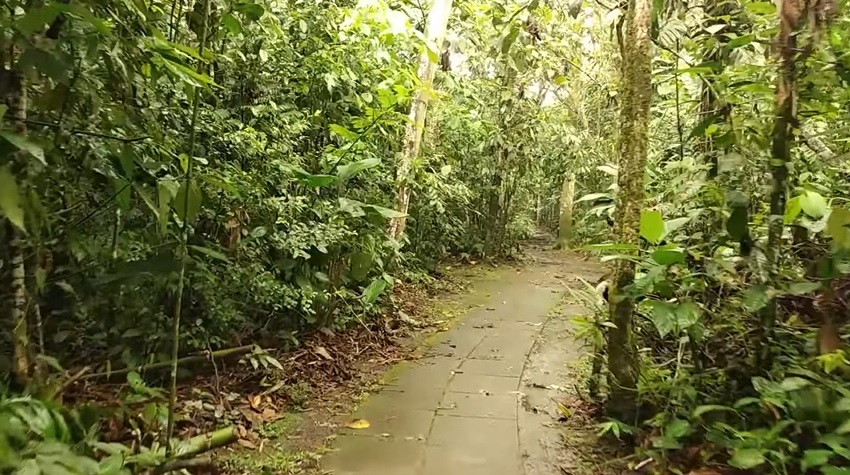 Visita el Jardín Botánico de la Universidad Tecnológica de Pereira