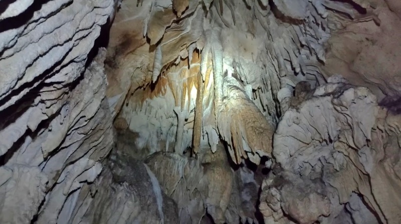 el Parque Nacional Natural (PNN) Cueva de los Guácharos