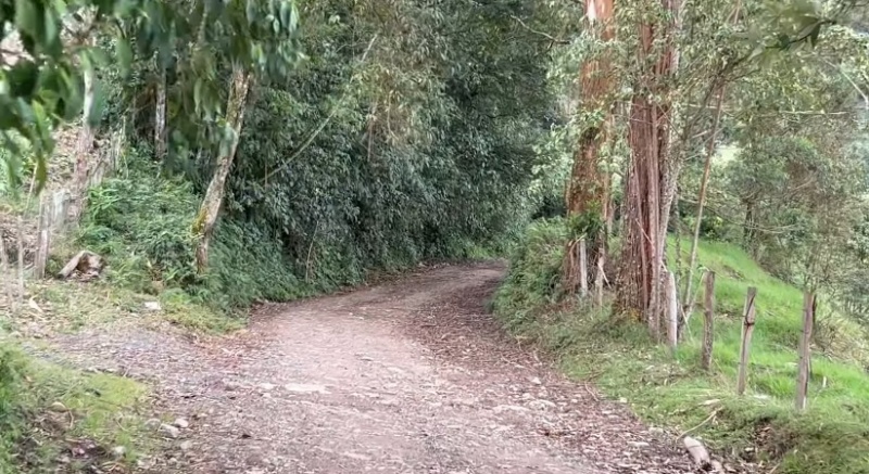 Ruta Nacional de Salento - Quindio - Colombia