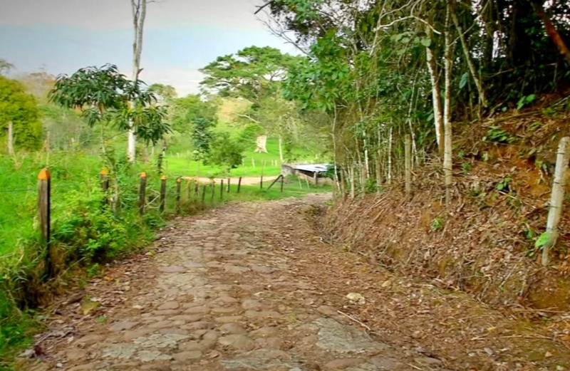 Ruta de senderismo por el Camino Real - Guaduas Cundinamarca