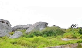 Parque Arqueológico Piedras de Chivonegro