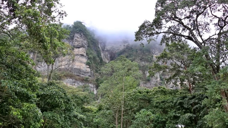 Reserva Parque Natural Chicaque - Cundinamarca Colombia