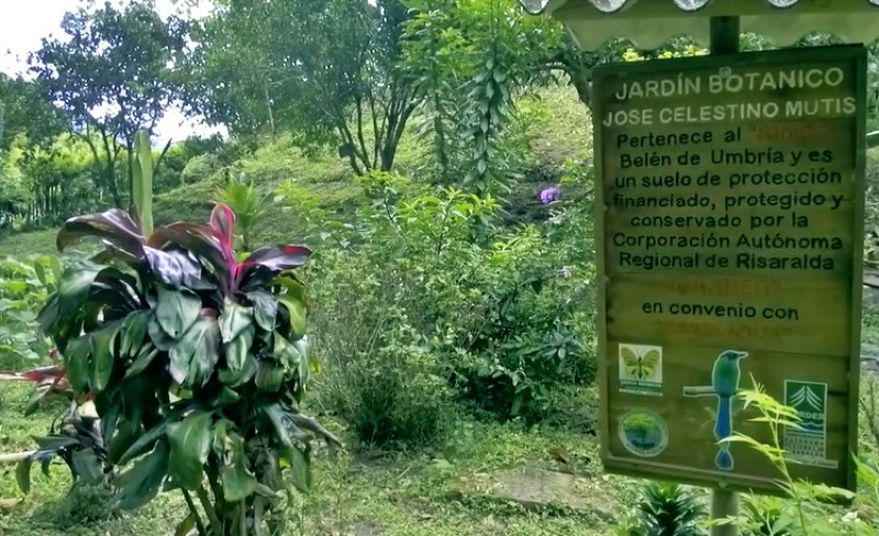 Jardin Botanico José Celestino Mutis en Belén de Umbría, Colombia