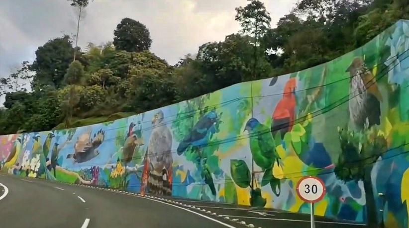 mural Las aves aman el Paisaje Cultural Cafetero