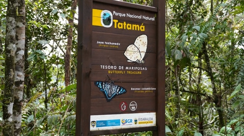 Parque Nacional Natural Tatamá – Sitios Turísticos de Colombia