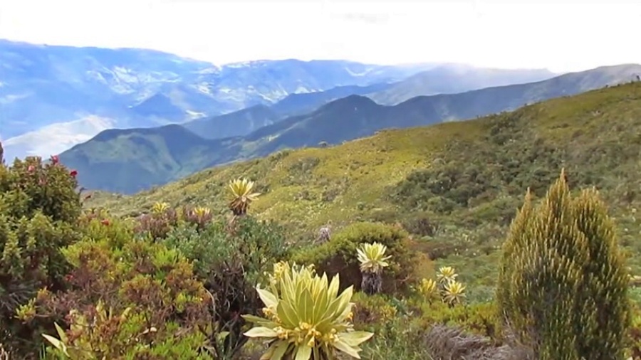 Parque Natural Páramo de las Hermosas en Colombia