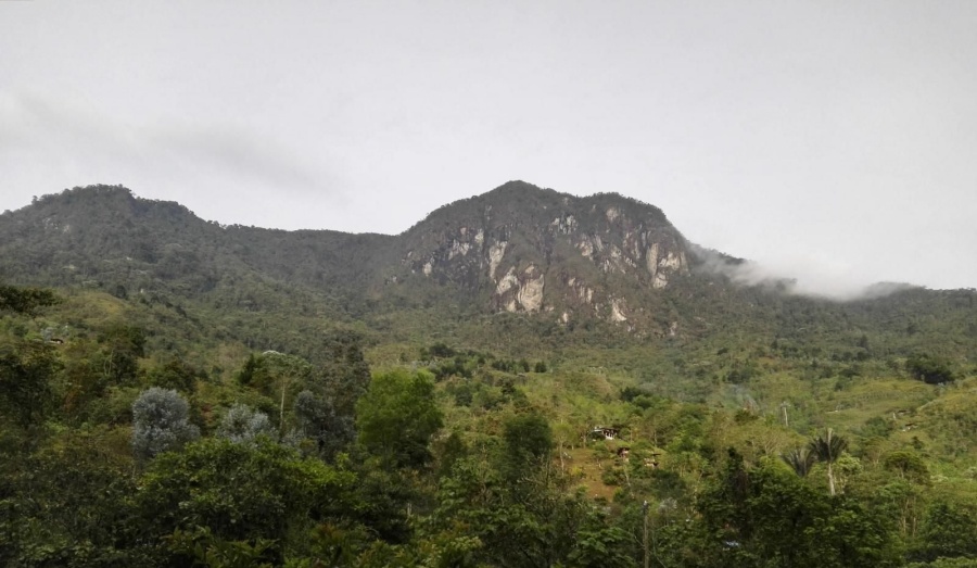 Alto del Buey – PNN Los Farallones de Cali Colombia