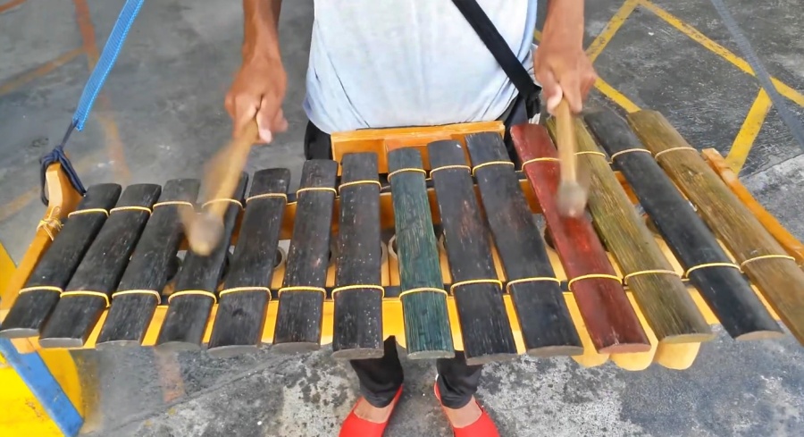 En la región del Pacífico sur la marimba es un instrumento pilar