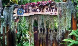 Bichacue Yath Arte y Naturaleza
