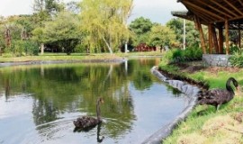 Jardin Botanico de cali, Colombia