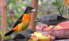Reserva Ecológica Kantú - Excursiones ecológicas