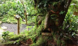 Bichacue Yath Arte y Naturaleza de Cali, Colombia