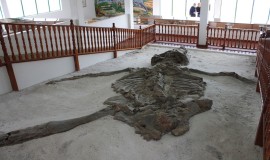 Museo Geológico de Ingeominas Cali, Colombia