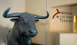 Museo Taurino de Cali, Colombia