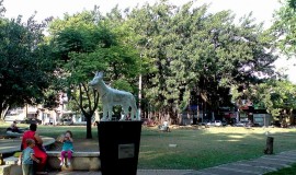 Parque del Perro Cali, Colombia