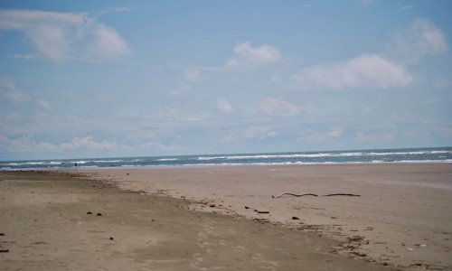 Playa La Barra