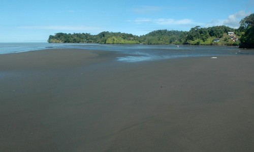 Plan San Cipriano y Piangüita