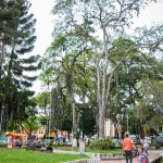 Las Casas alrededor del Parque «Los Fundadores» Cuentan con una hermosa arquitectura en torno a su Parque los Fundadores