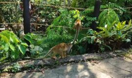 Tours en Villavicencio