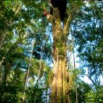 Reserva Natural Moru - Colombia