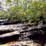 Tours y Actividades en San José de Guaviare