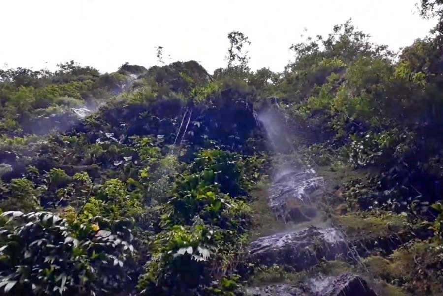 Sendero Ecológico Virgen de la Peña en Yopal Casanare - Colombia