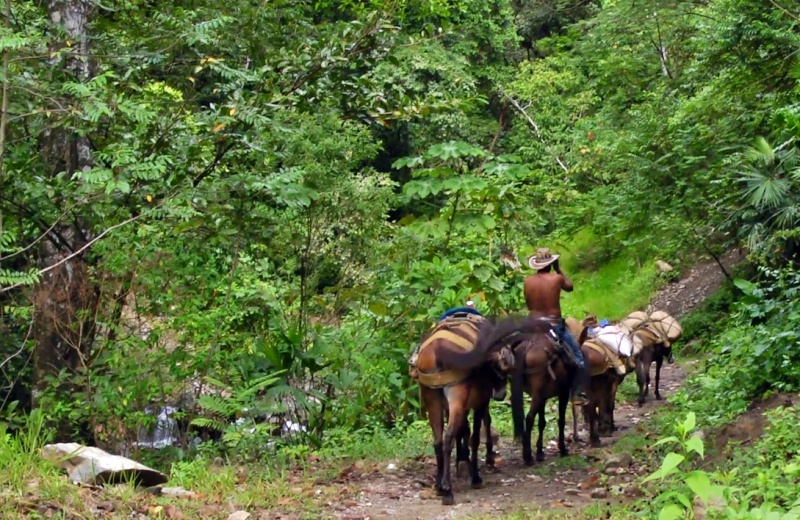 Cultura y tradiciones de Antioquia – Elturismoencolombia.com
