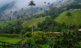 Quindio Colombia