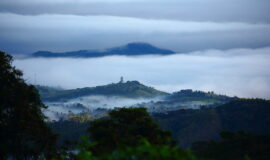 Dapa Valle del Cauca - Yumbo Colombia