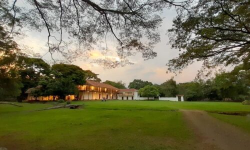 haciendas de caña de azúcar del Valle del Cauca
