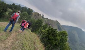 imageframe-image
