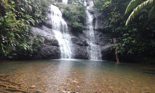Parque Ecológico Venado Verde