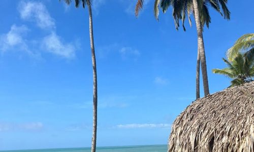 Palomino, La Guajira