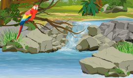 imageframe-image