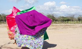 Cultura y Tradiciones de la Guajira