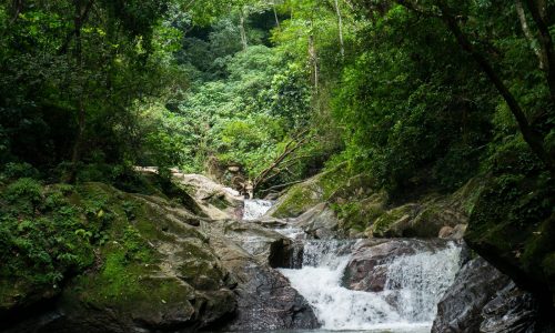 Minca - Santa Marta