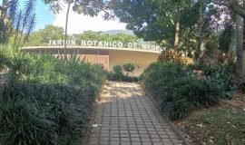 Jardín Botánico de Medellín