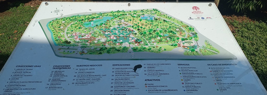 Silvicultura y Paisajismo Jardin Botanico de Medellin - Antioquia Colombia