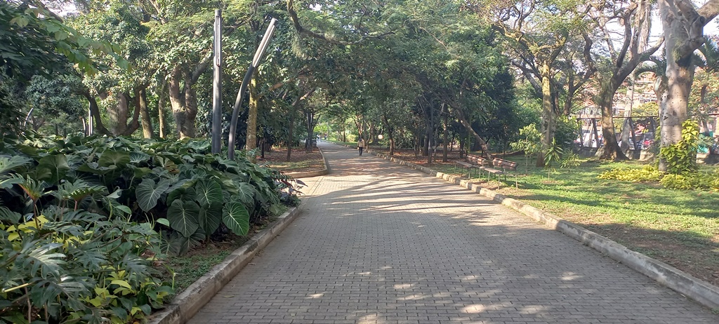 Centro de cultura y educación ambiental Jardin Botanico de Medellin - Antioquia