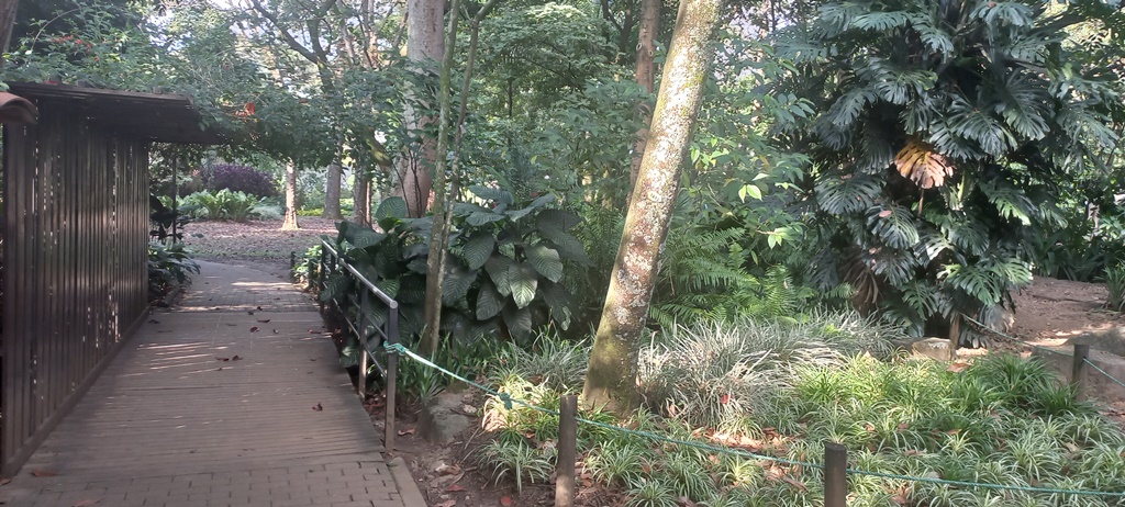 Horario del Jardin Botanico de Medellin - Antioquia Colombia
